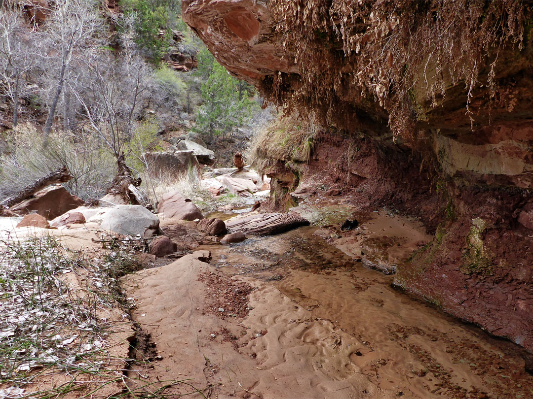 Overhanging cliff