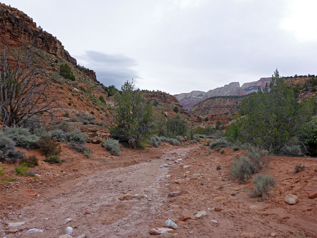 Scroggins Wash