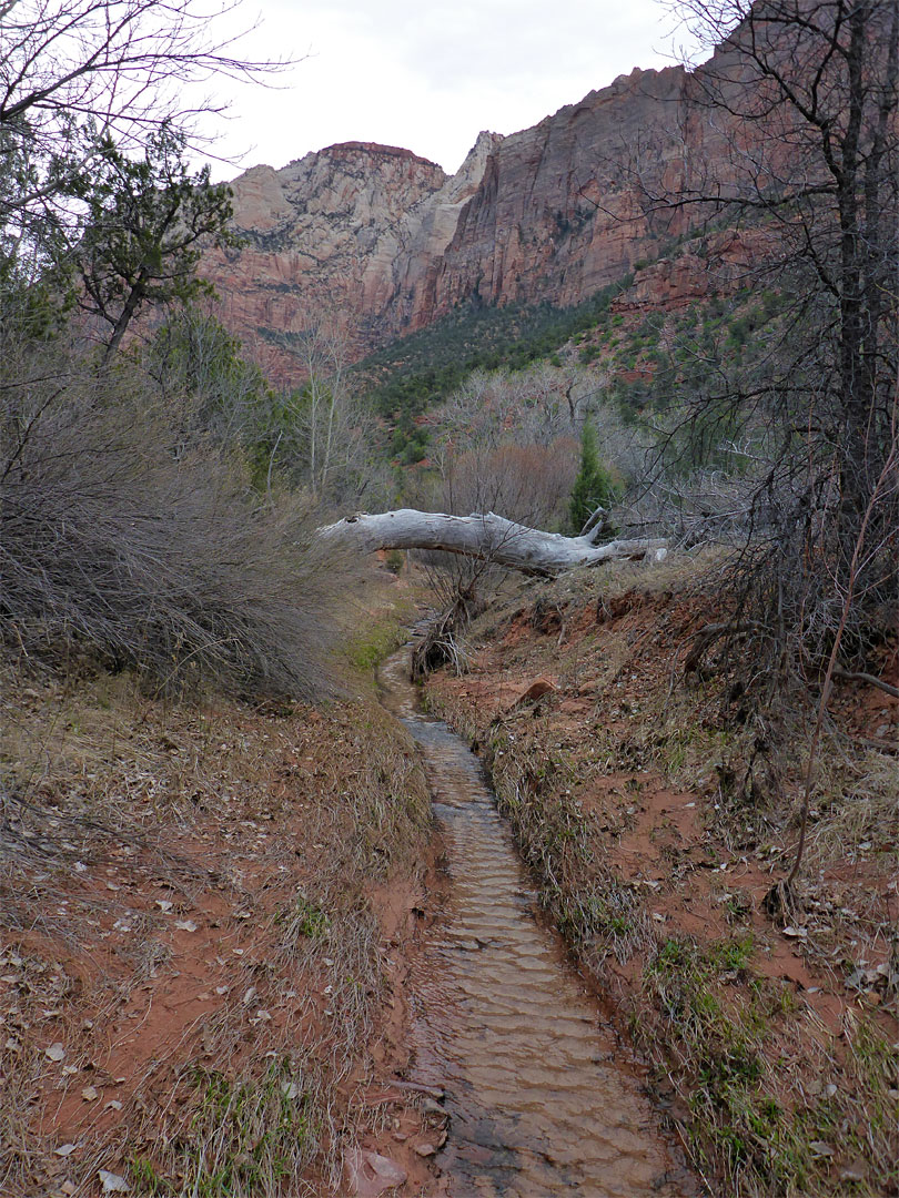 Narrow creek