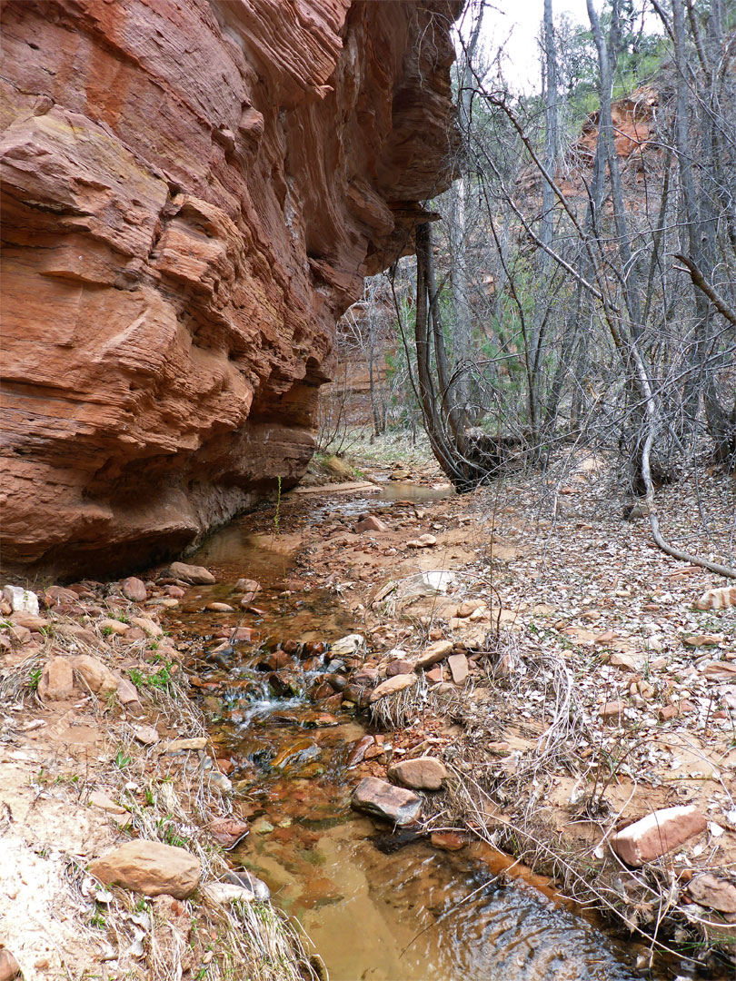 Cliff by the stream