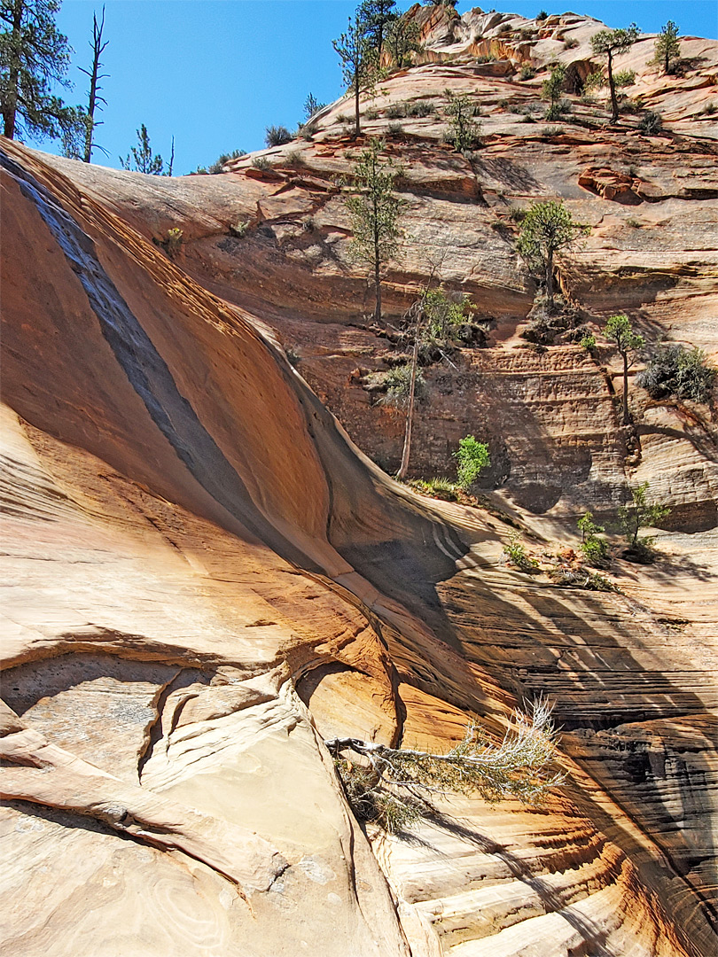 Stained slickrock