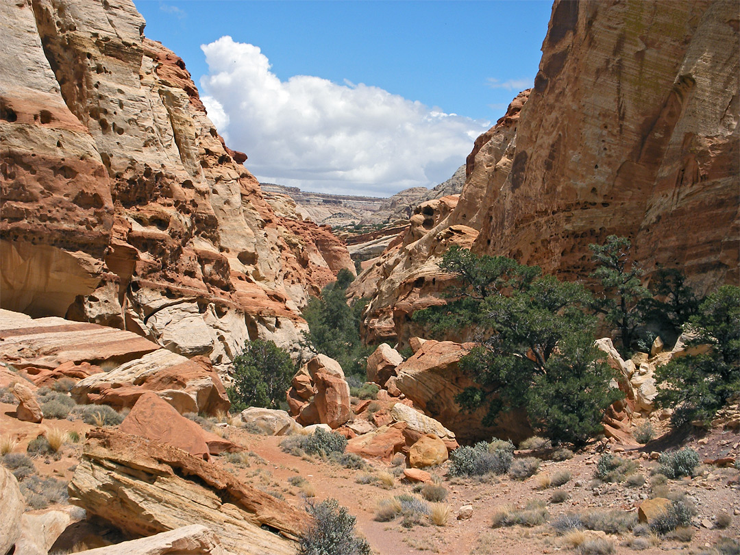 Mouth of Cohab Canyon