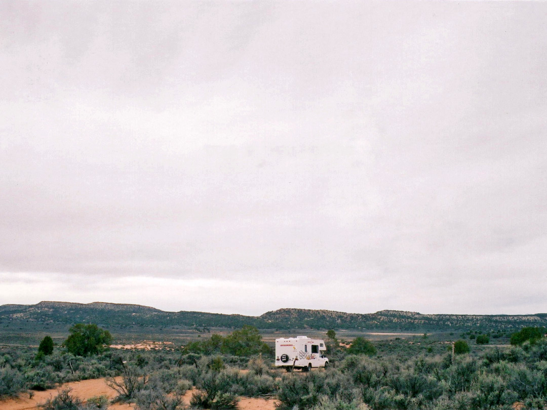 Sagebrush near the dunes