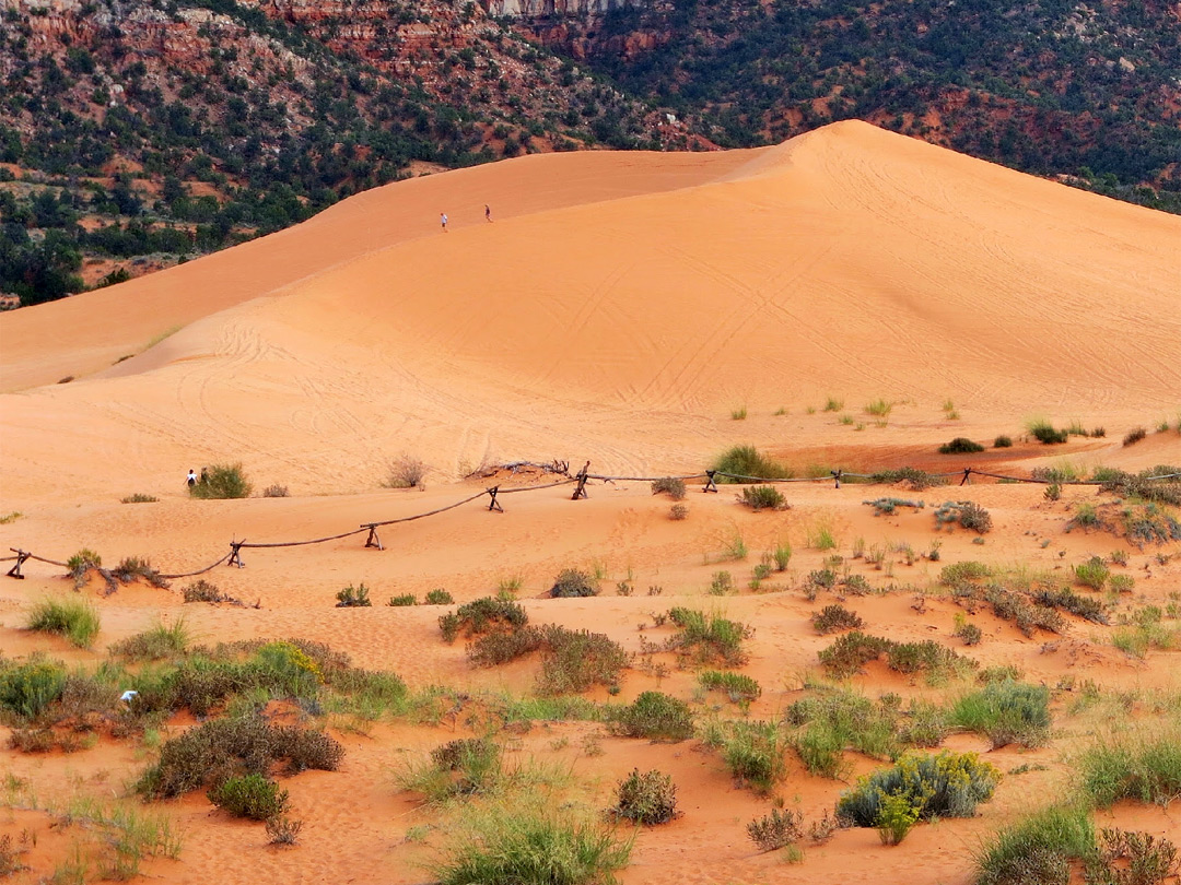 Smooth sand