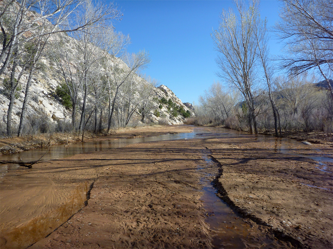 Cottonwood Creek - north