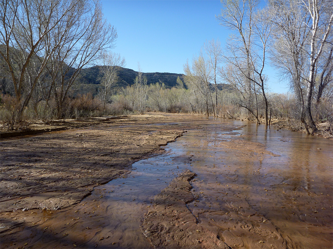 Cottonwood Creek - south