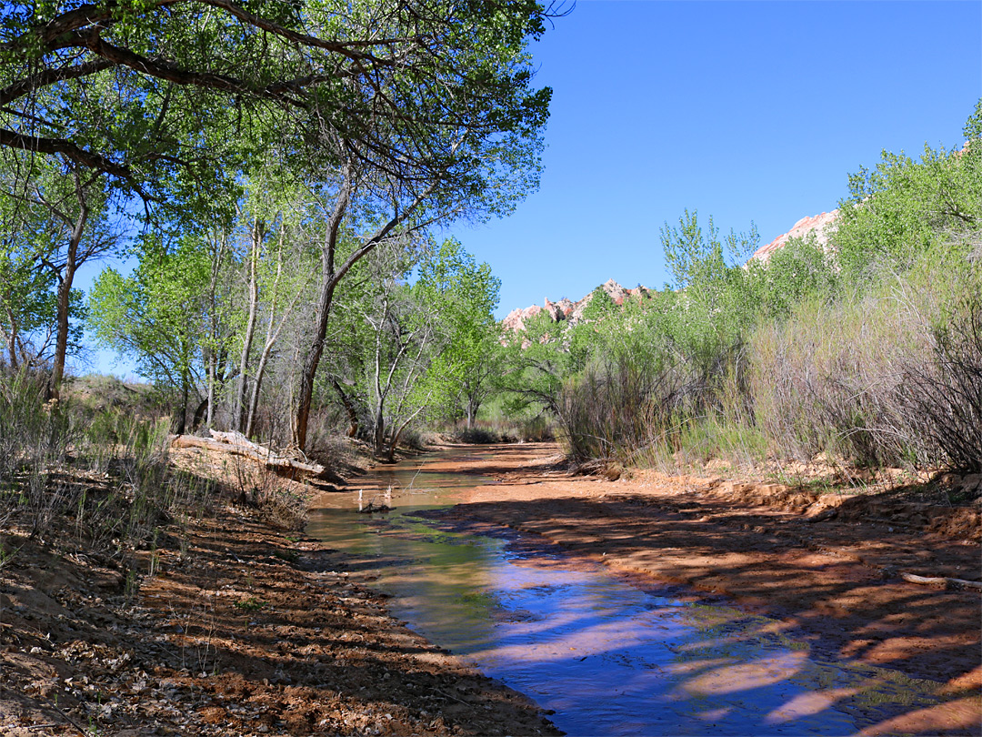 Cottonwood Creek