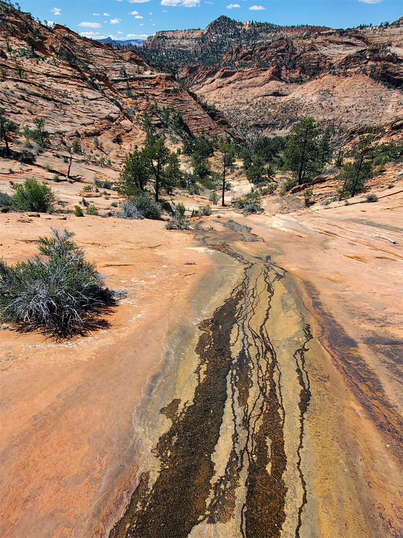 Trickling water