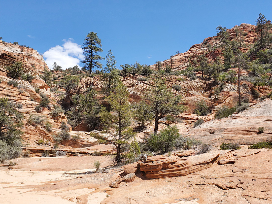 Reddish sandstone