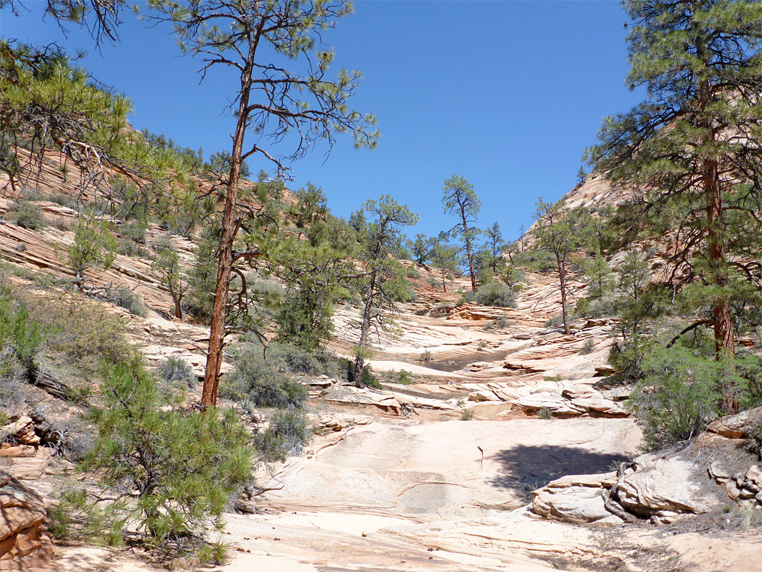 Tributary streambed