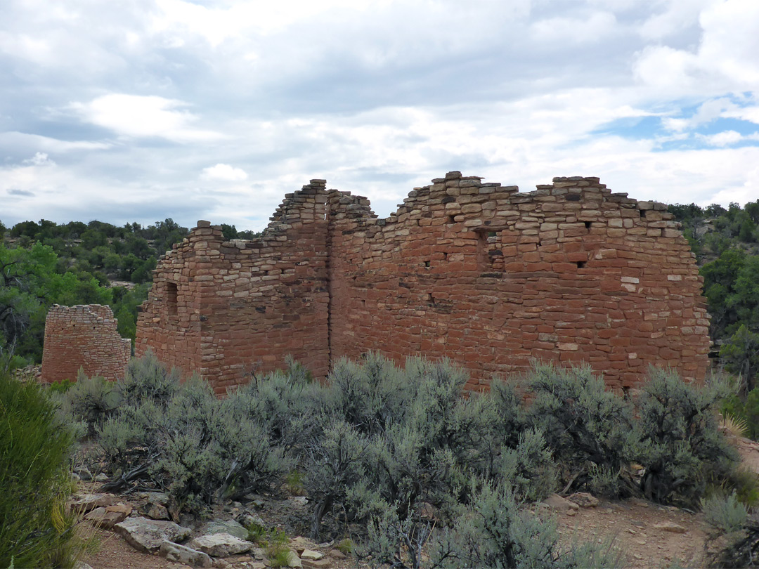 Reddish walls