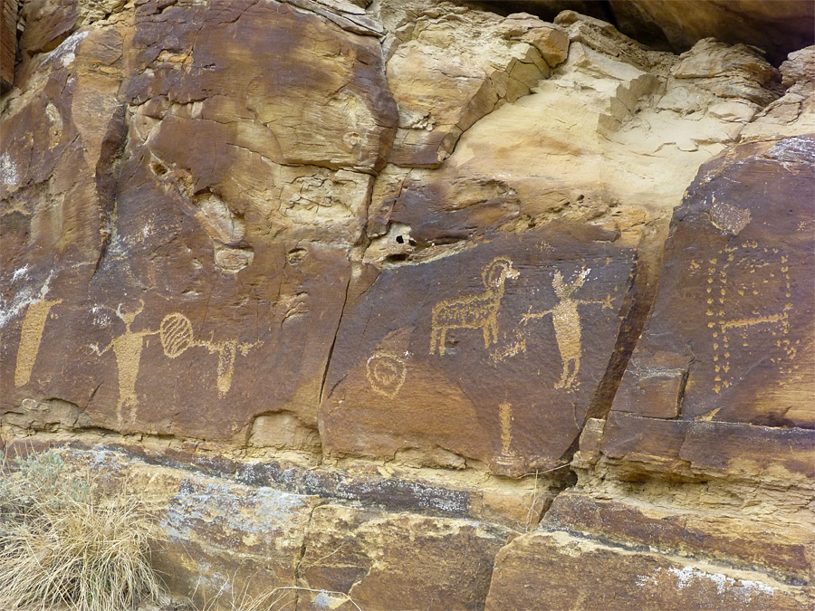 Petroglyphs in Daddy Canyon