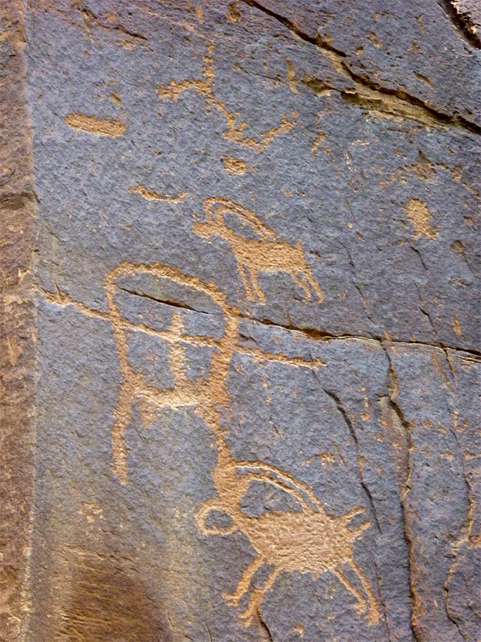 Petroglyph panel