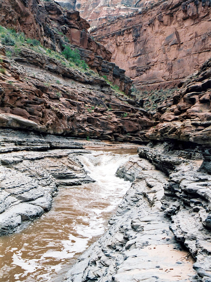 Stream through Dark Canyon