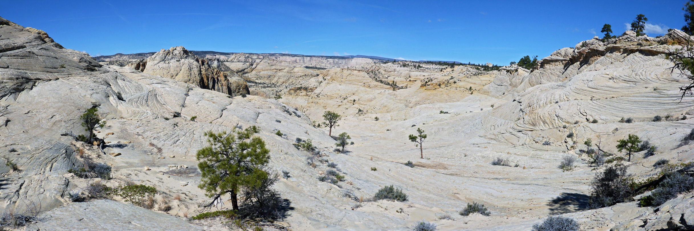 Slickrock east of Death Hollow