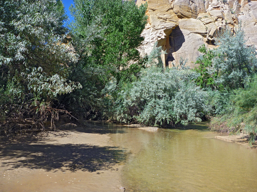 Escalante-Death Hollow junction