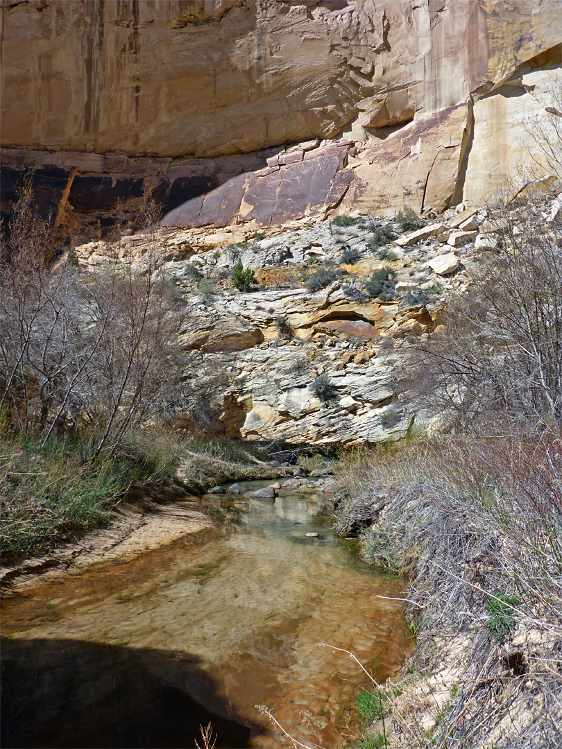Bend along the creek