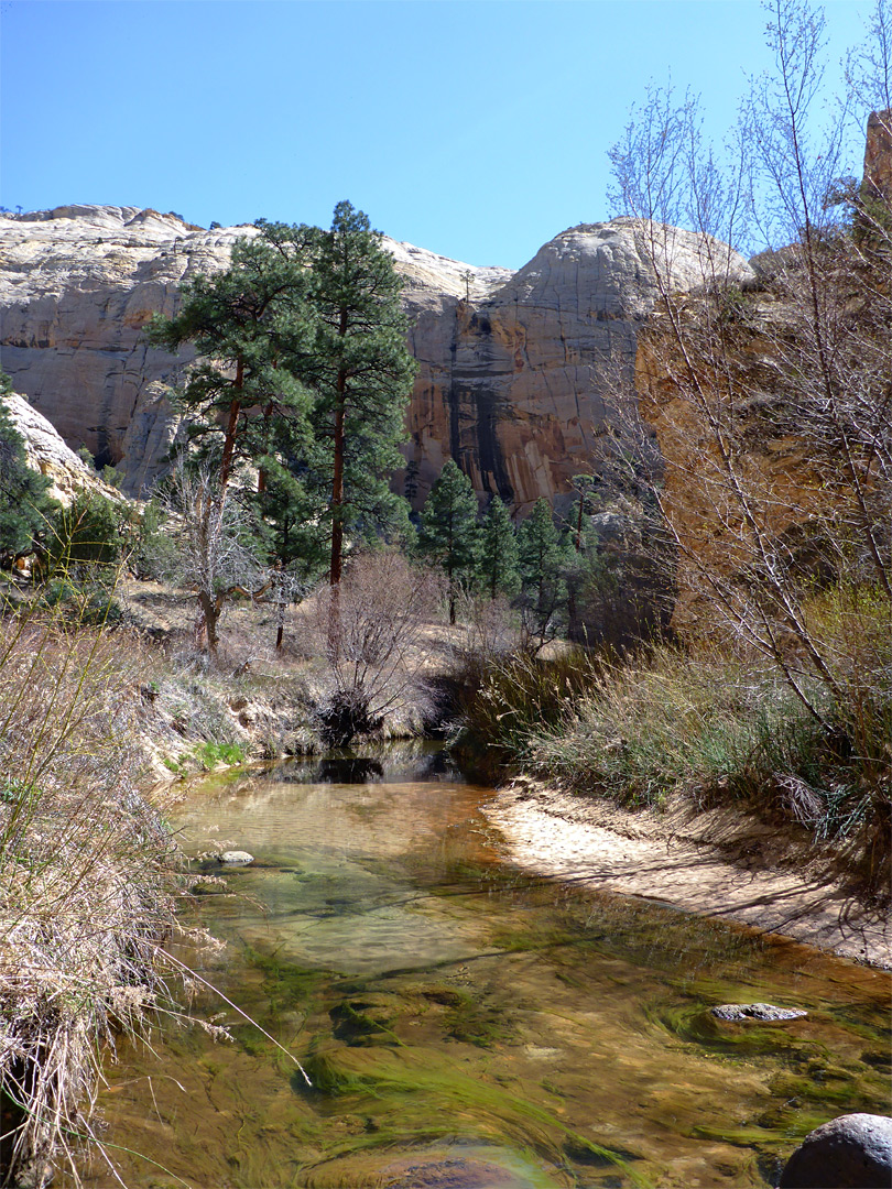 Stream, trees and cliffs