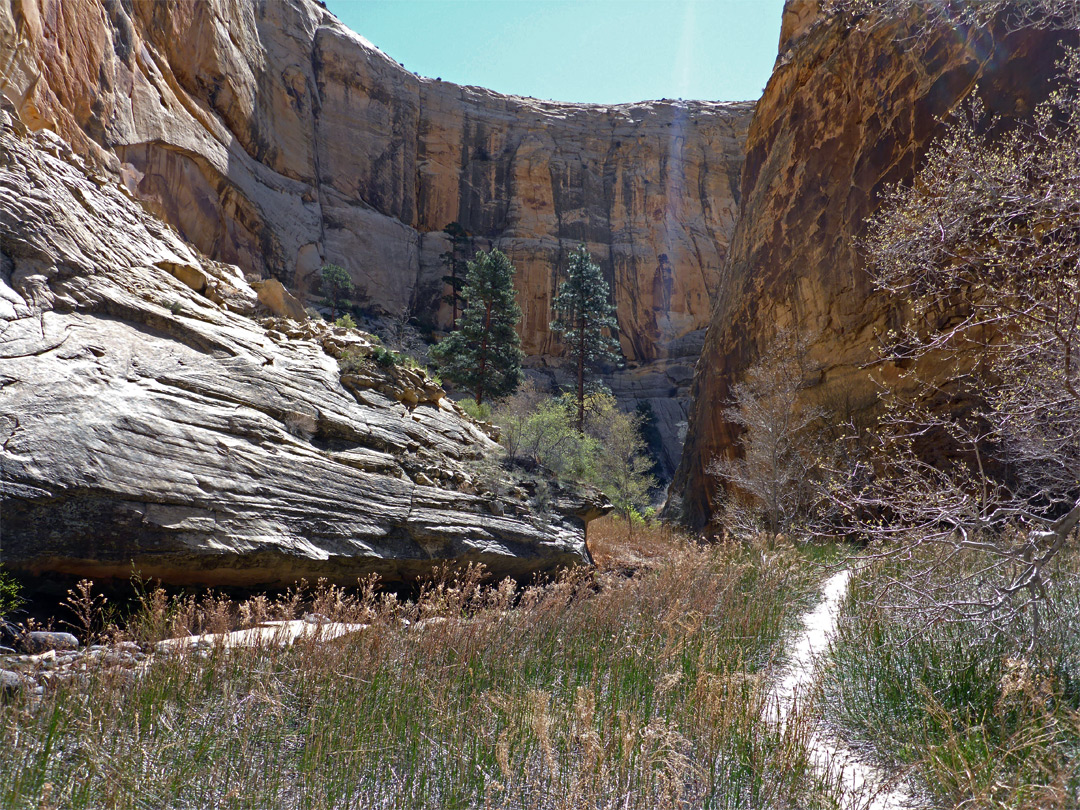 Level path
