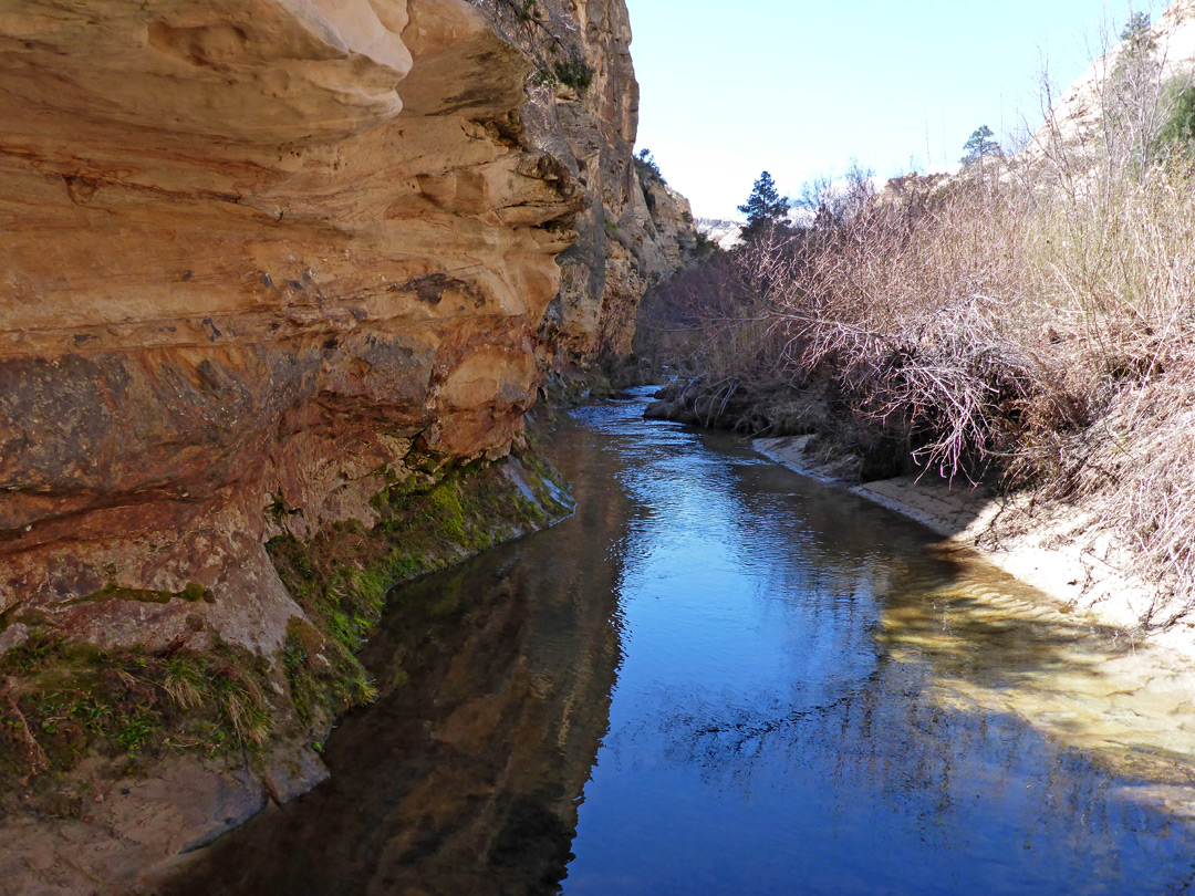 Stream in Death Hollow