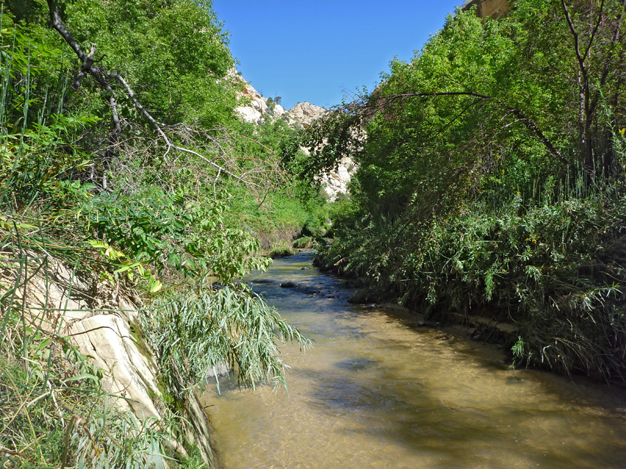 Sunny channel