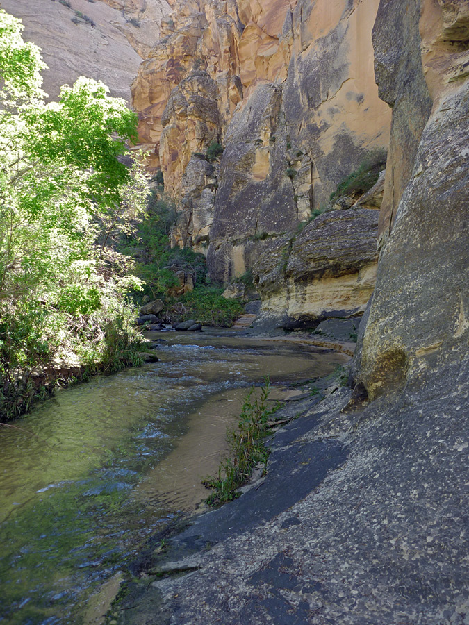 Bend in the canyon