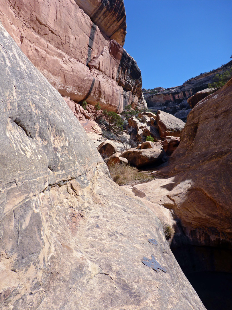 Boulders beyond a pool