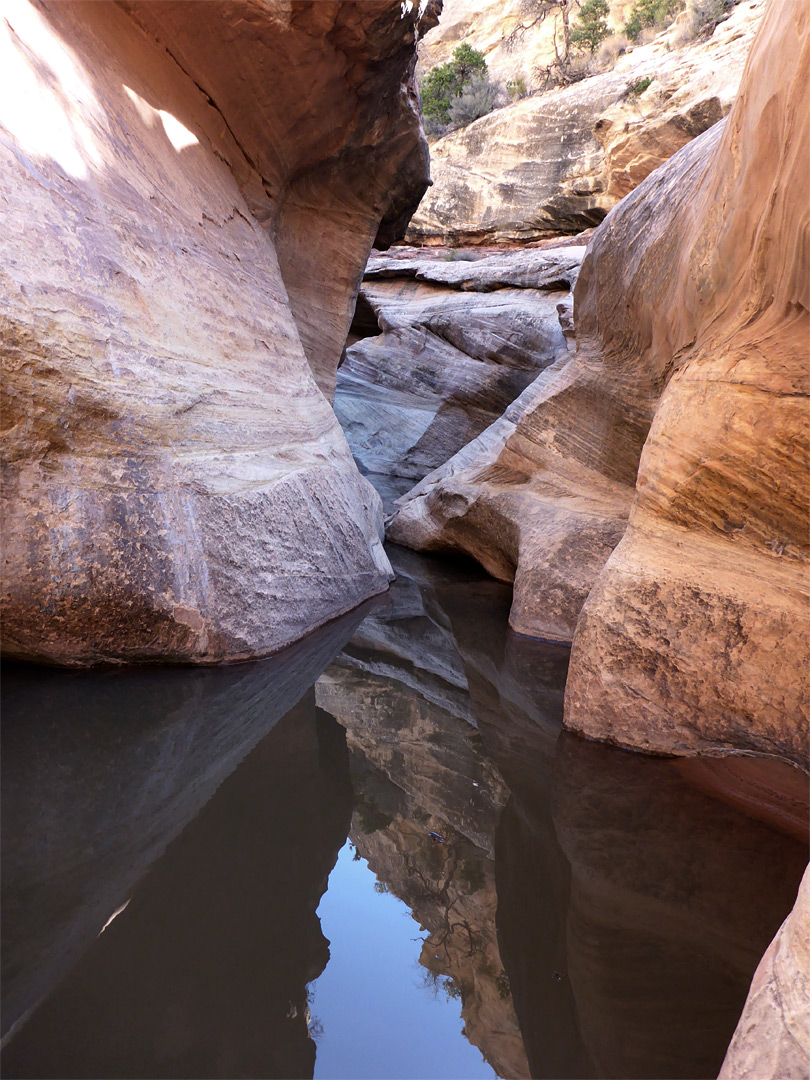 Pool and narrows