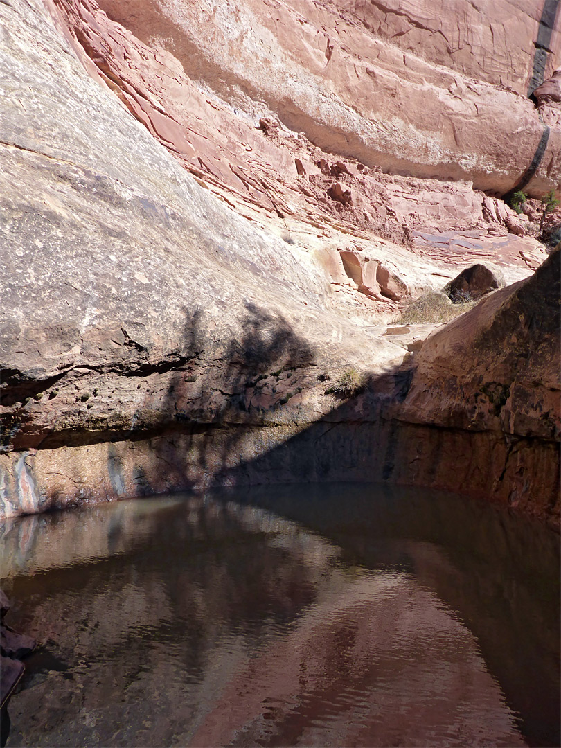 Circular pool