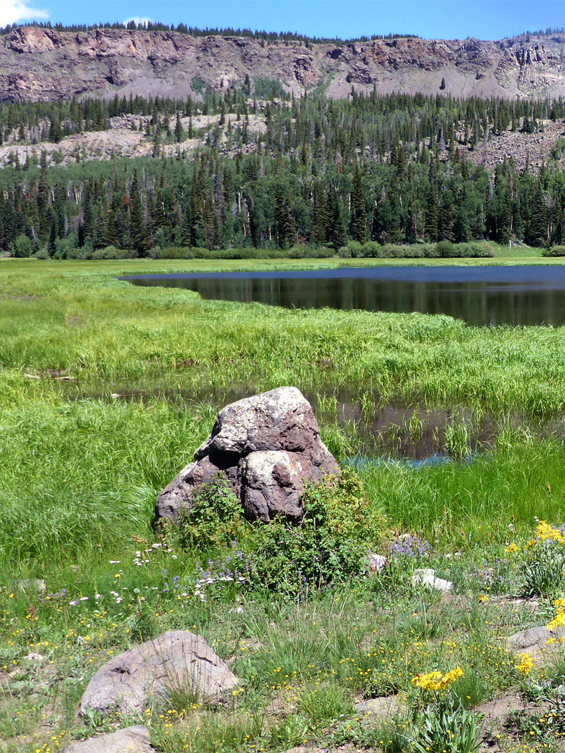 Rocks by the lake