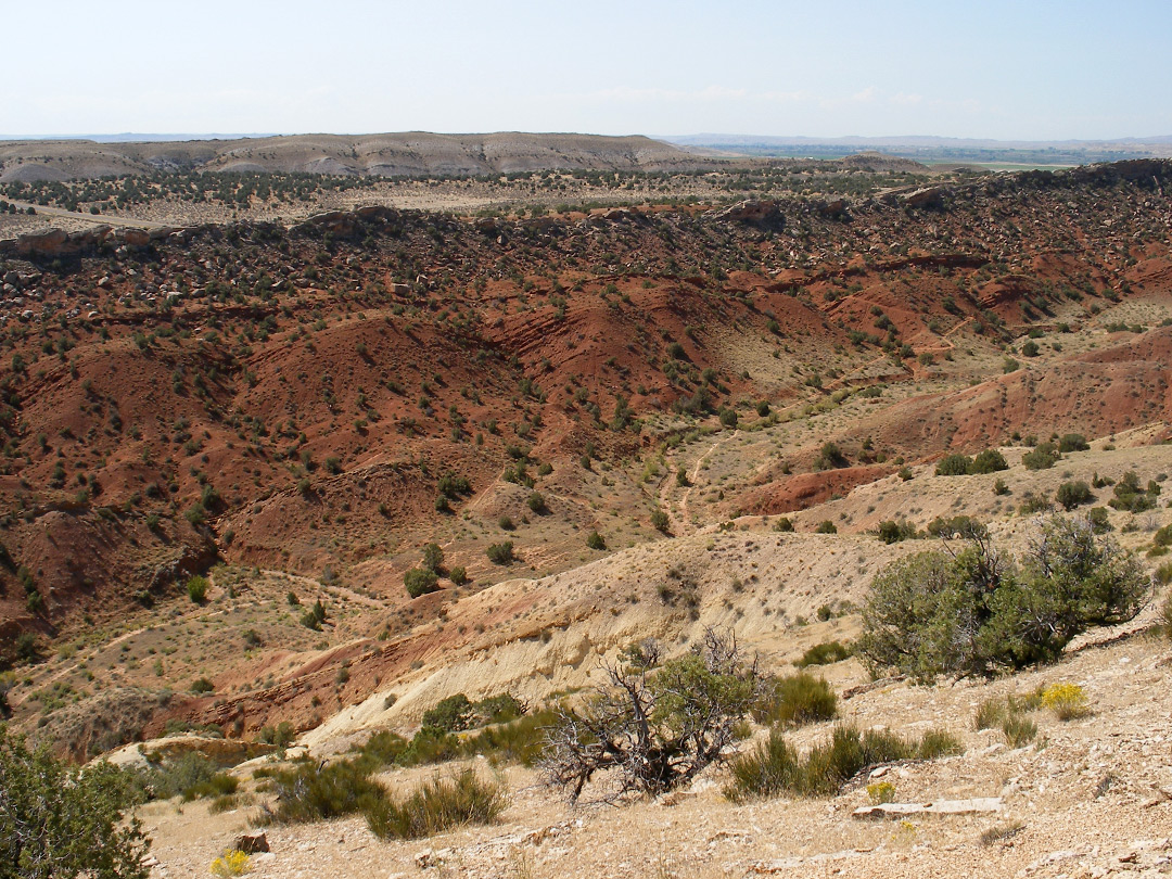 Cottonwood Wash