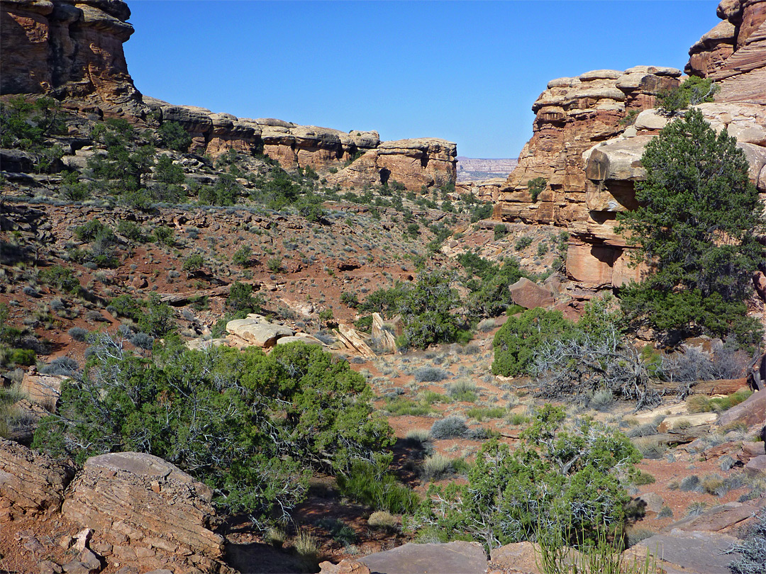 Ravine near Devils Lane