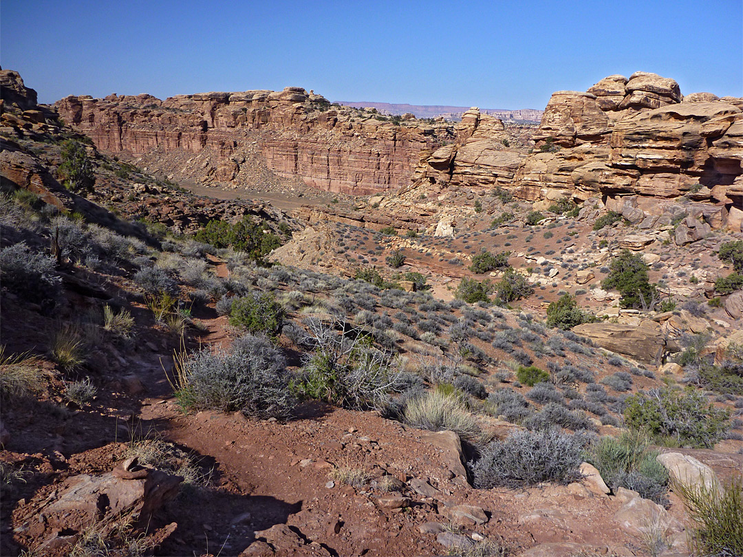 Trail from Devils Lane