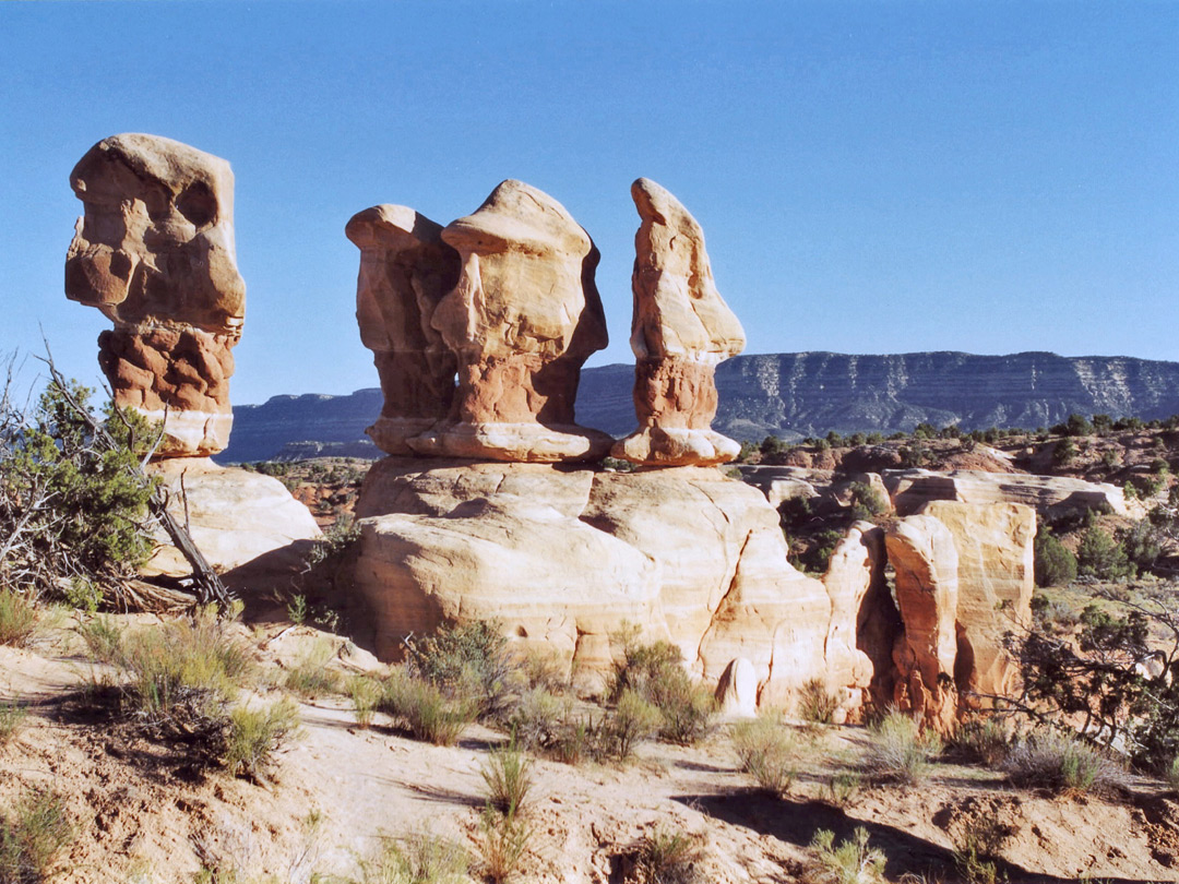 Rocks in Devils Garden