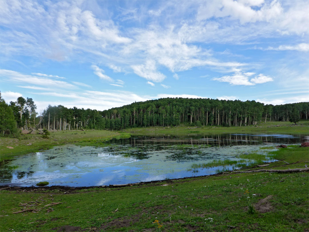 North side of Divide Lake