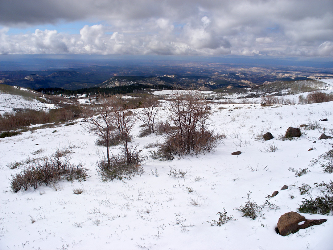 Snow on Boulder Mountain