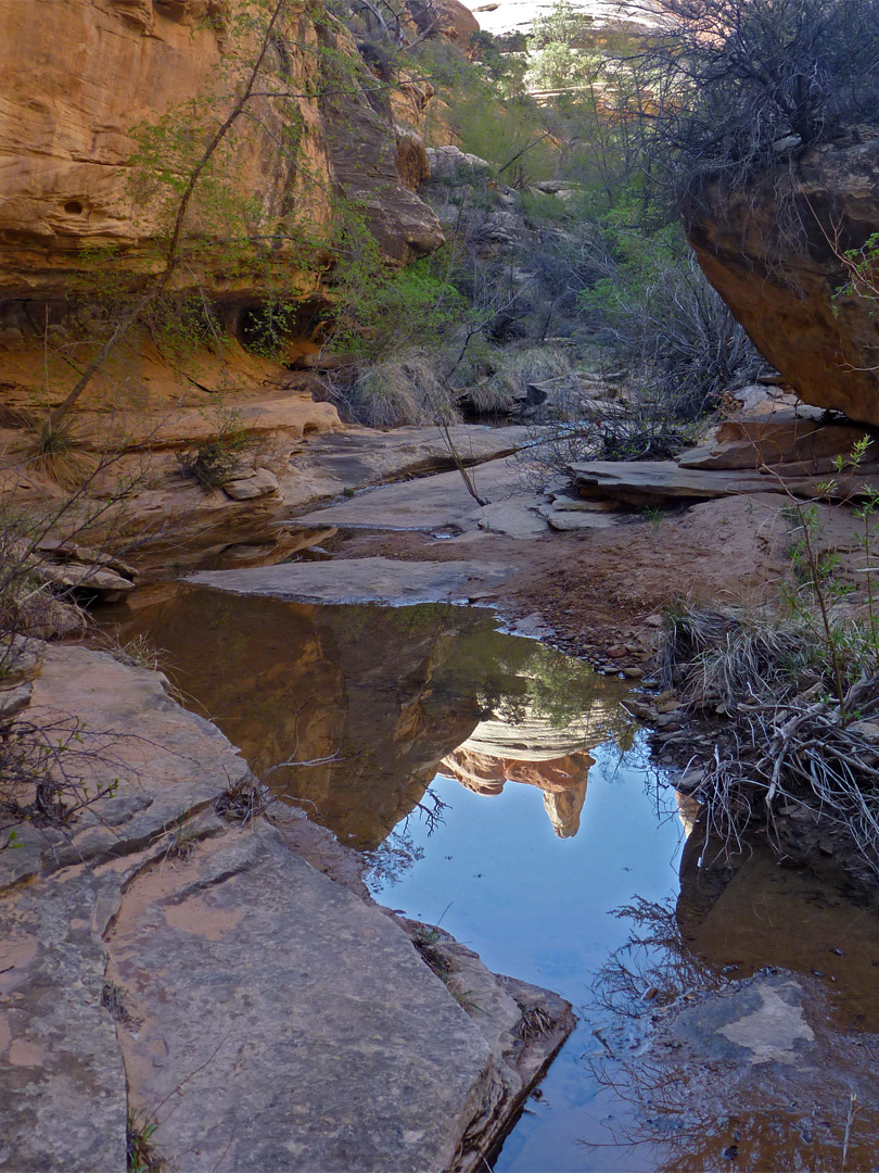 Shallow pool