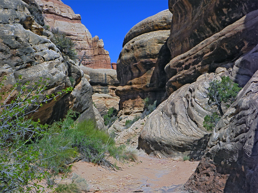 Upper end of the canyon