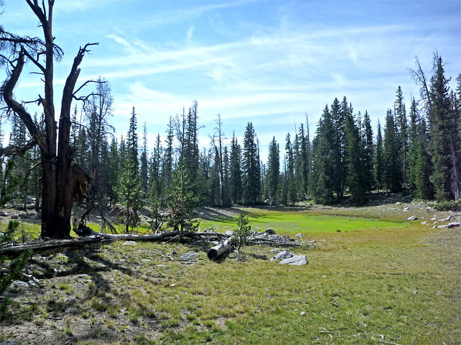 Dry pond