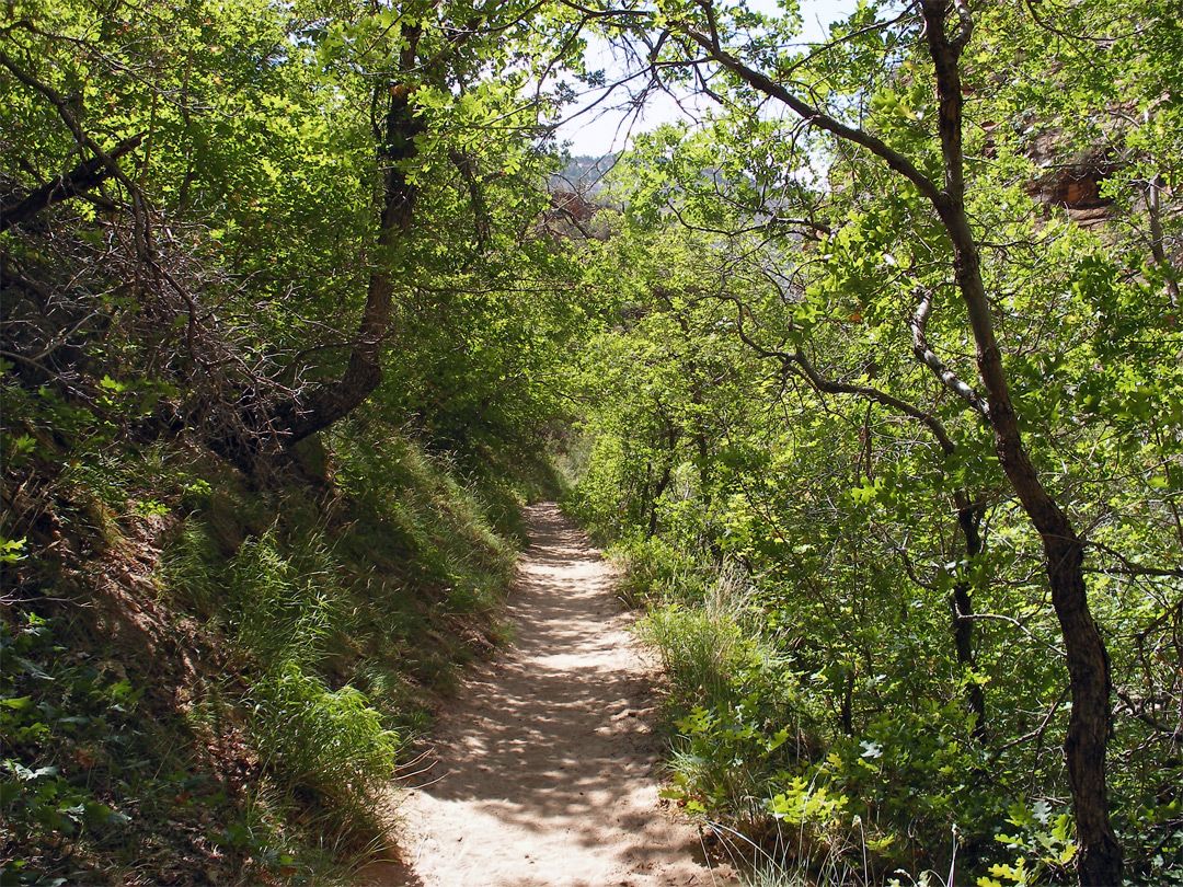 East Rim Trail