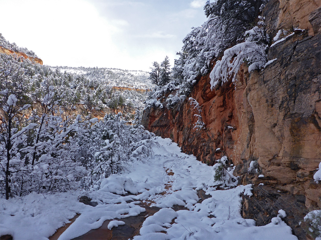 Cliffs beside the trail