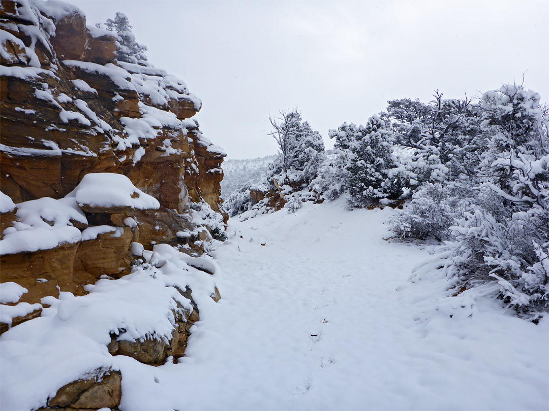 Saddle above Jolley Gulch