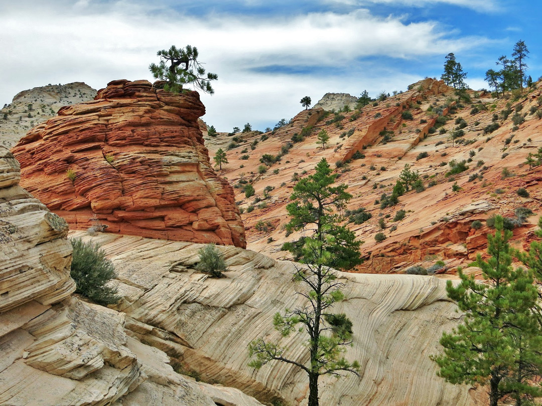 Red and white rocks