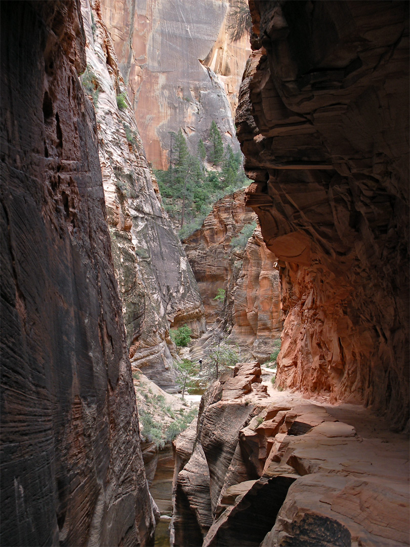 Trail past Echo Canyon