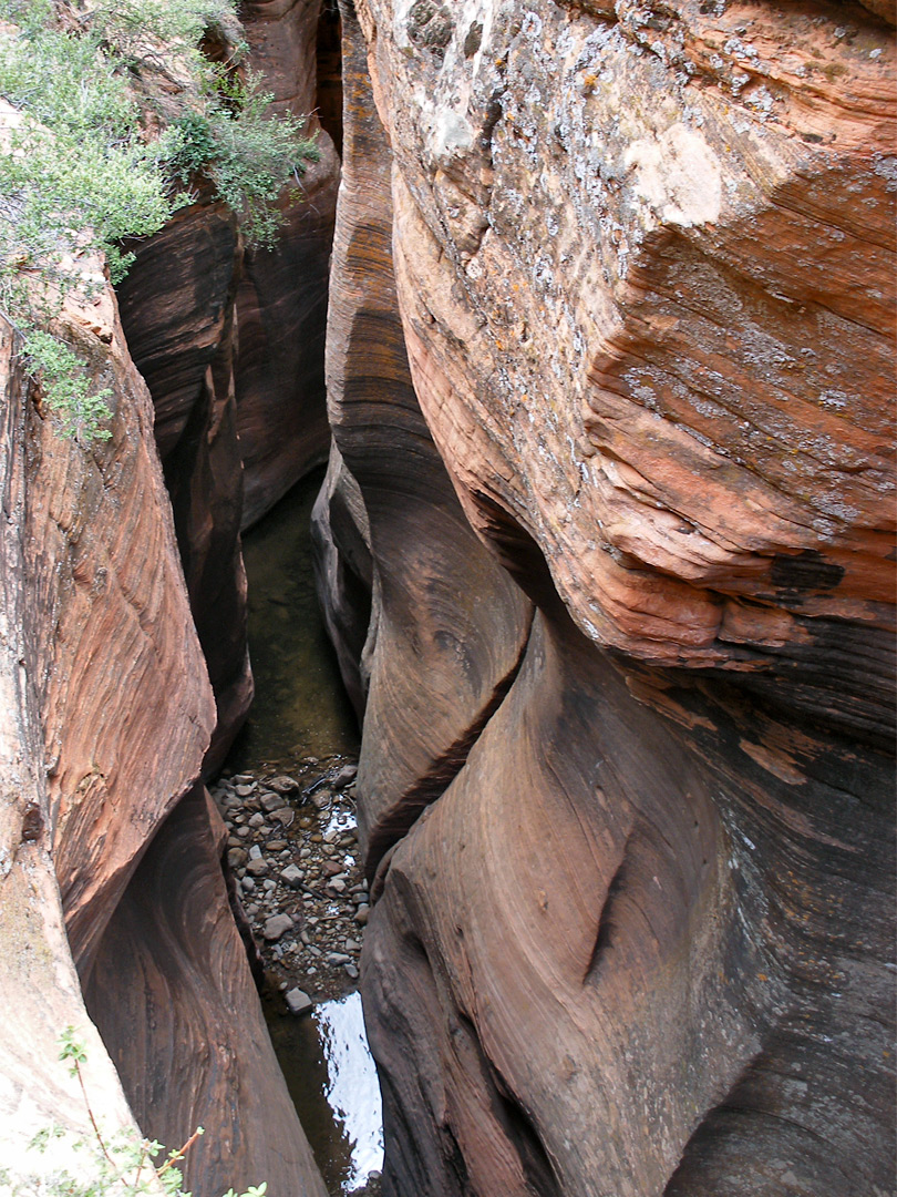 Pools in Echo Canyon