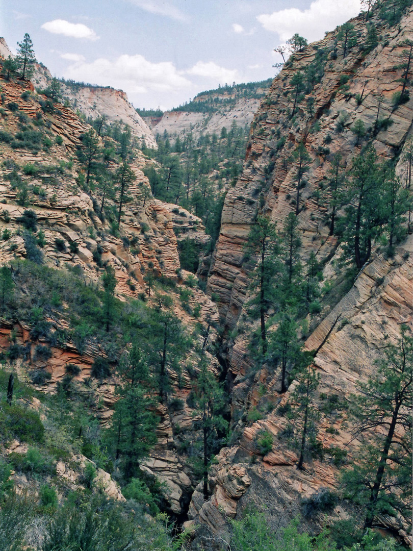 Cliffs above Echo Canyon