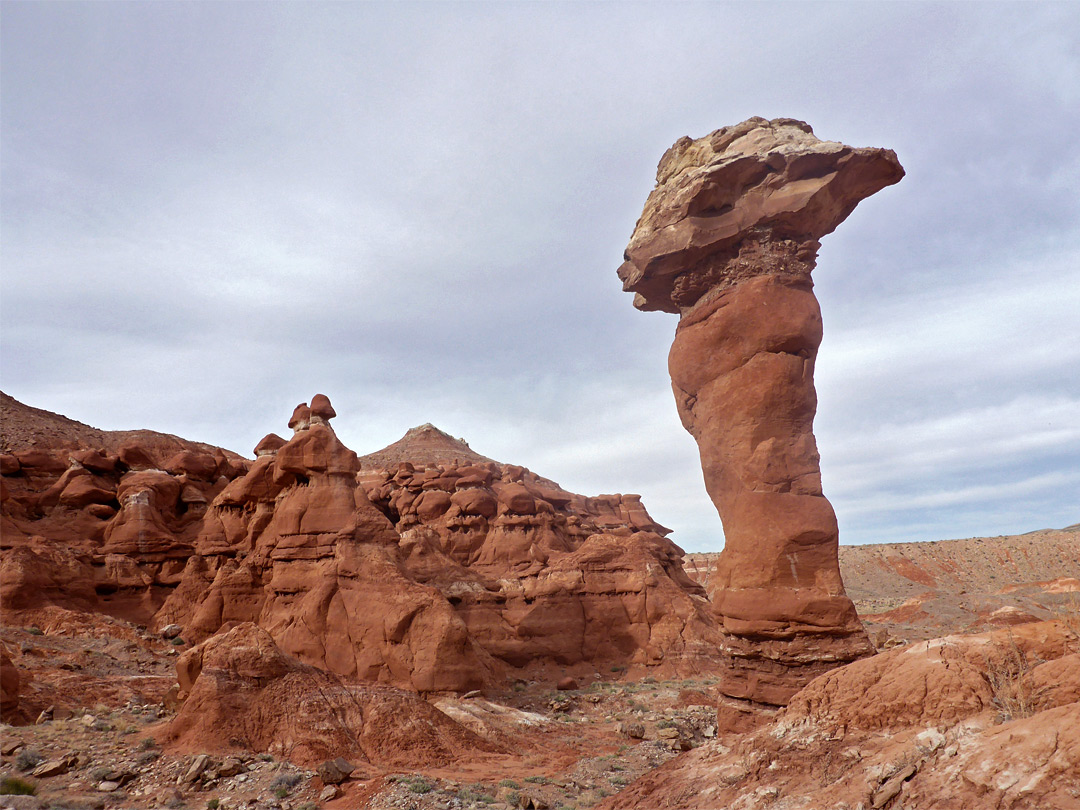 The largest hoodoo