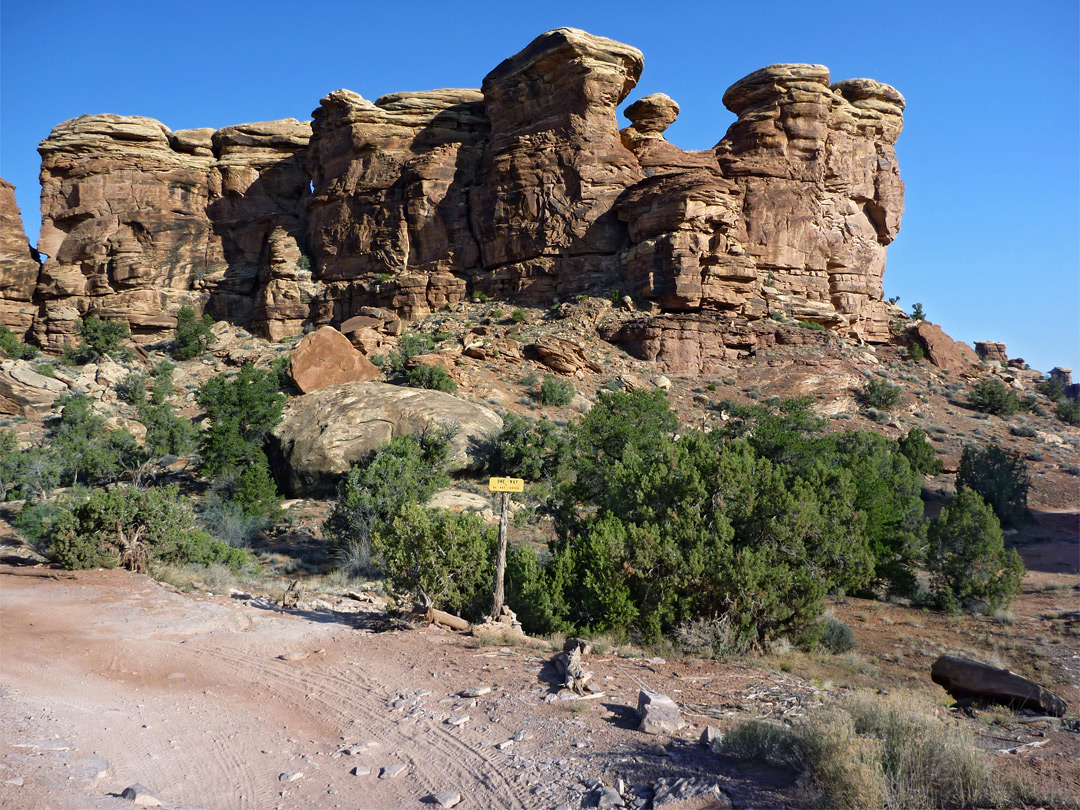 Junction along Elephant Hill Trail