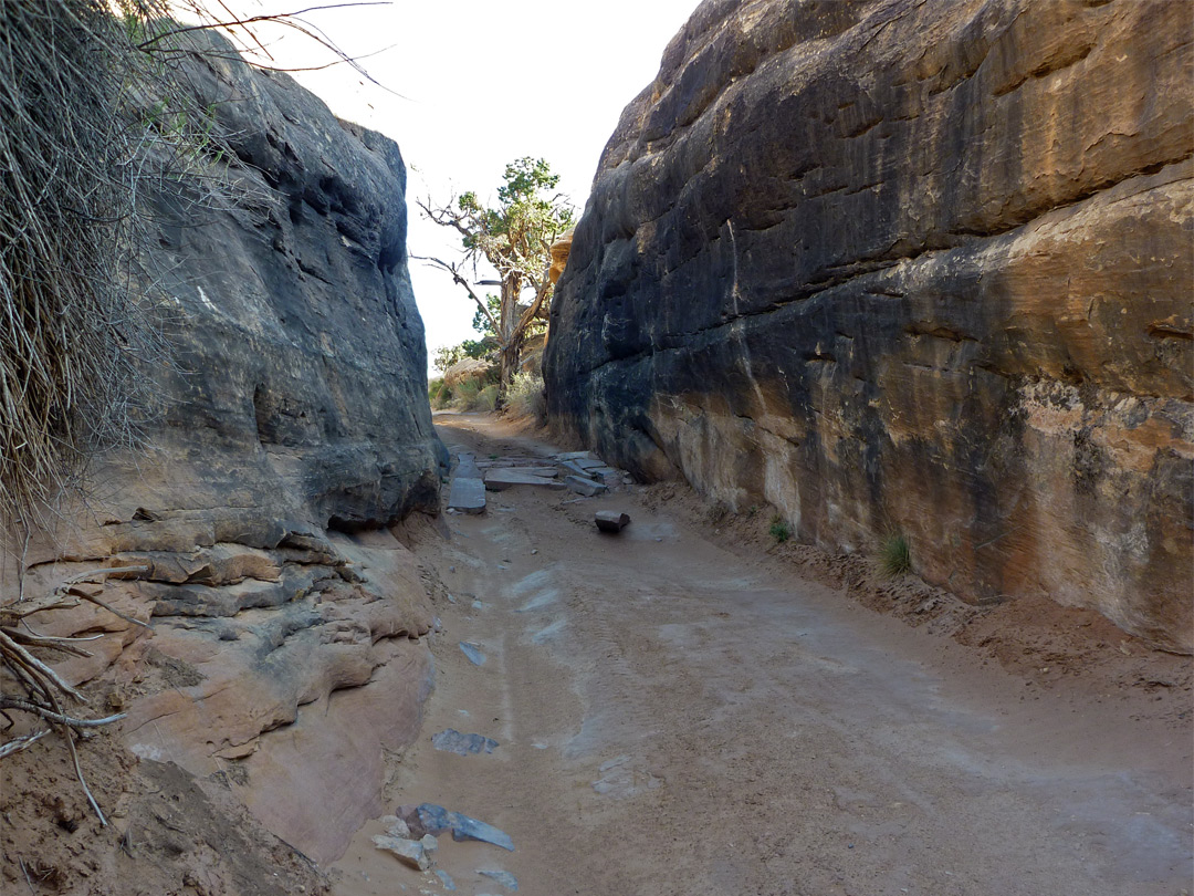 Elephant Hill Trail - narrow place