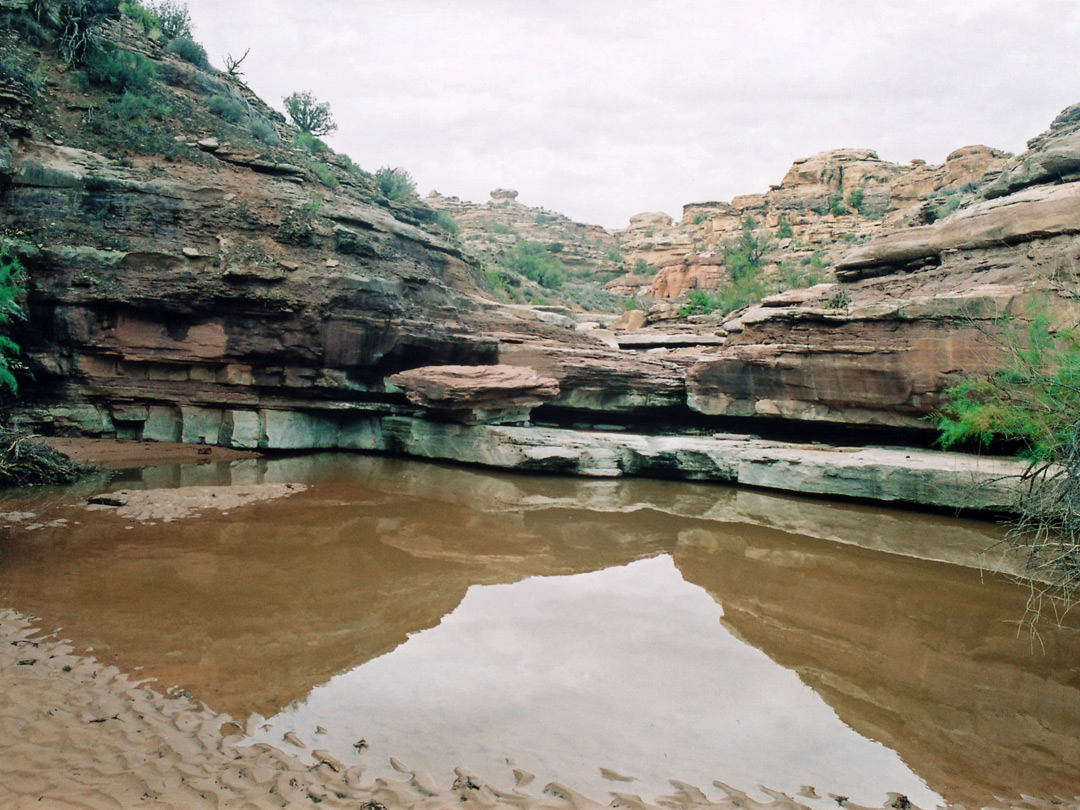 Muddy pool